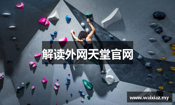 解读外网天堂官网